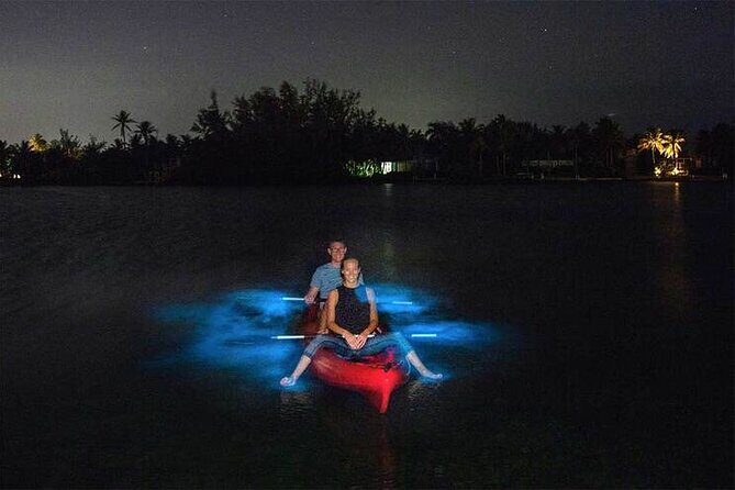 Unforgettable One Day Bioluminescent Kayak Adventure in Vieques - A Detailed Look at the Bioluminescent Kayak Experience