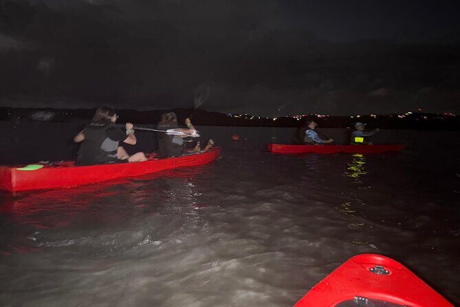 Unforgettable One Day Bioluminescent Kayak Adventure in Vieques - Who Will Love This Tour?