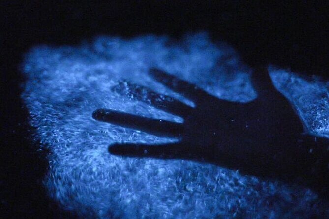 Unforgettable One Day Bioluminescent Kayak Adventure in Vieques - Final Thoughts: Is It Worth It?