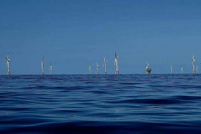 Unforgettable sea trip to the wind farms in the North Sea - A Detailed Look at the Experience