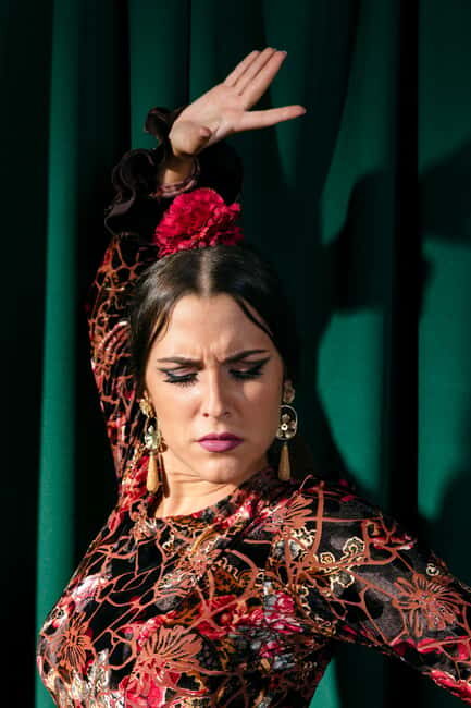 Unforgettable Seville: Tour of Seville and the Jewish Quarter + Flamenco Party Show - Discovering Seville: A City of Contrasts in a Day