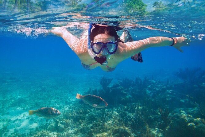 Unforgettable Snorkel Adventure in Cancun whit Transpotations - Practical Tips for Your Snorkel Trip