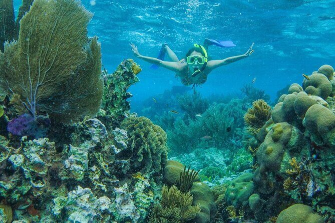 Unforgettable Snorkel Adventure in Cancun whit Transpotations - Final Thoughts