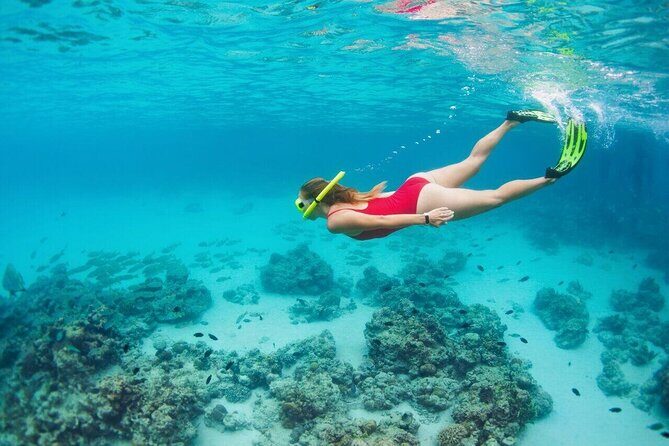 Unforgettable Snorkel Adventure in Cancun whit Transpotations - Frequently Asked Questions
