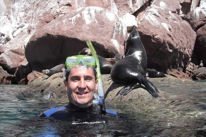 unforgettable snorkeling activity in The Sea of Cortes - An In-Depth Look at the Experience