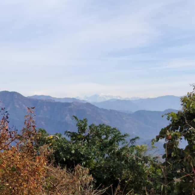 Unforgettable Tour of Rishikesh - Why This Tour Offers Real Value