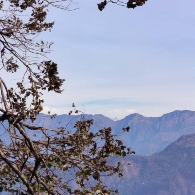 Unforgettable Tour of Rishikesh - Who Should Consider This Tour?