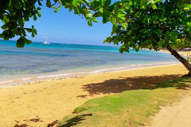 Unforgettable Week in the Dominican Republic - Discover the Heart of the Dominican Republic: A Detailed Review