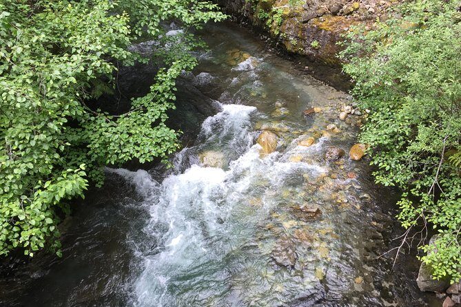 Unforgettable Whistler ( Full Day Private Tour) - Final Thoughts: Is It Worth the Price?