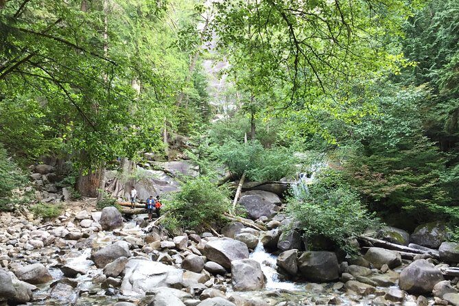 Unforgettable Whistler ( Full Day Private Tour) - Who Would Love This Tour?