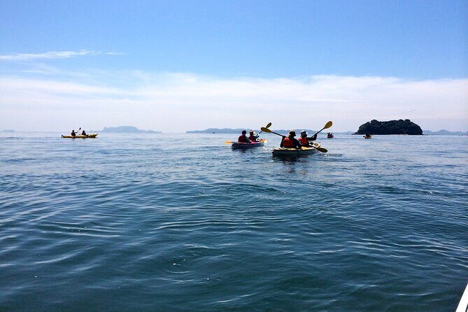 Uninhabited Island Kayak Cruise and Adventure in Seto Inland Sea - Who Would Love This Experience?