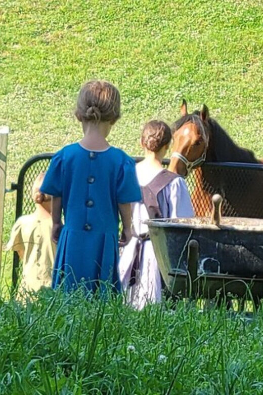 Unique Amish Immersion Experience - A Closer Look at the Amish Immersion Tour