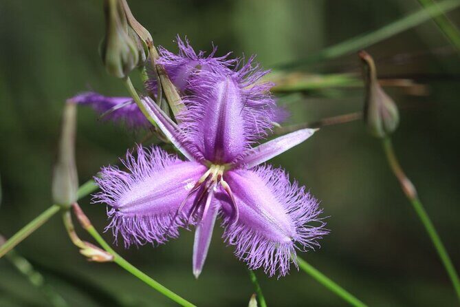 Unique and Personal BushTracks Eco Tour in Agnes Water 1770 - Who Will Love This Tour?