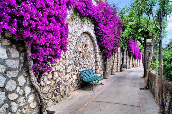 Unique Beauty and Heritage - Capri Walking Tour - In-Depth Review: Why This Tour Will Win Your Heart