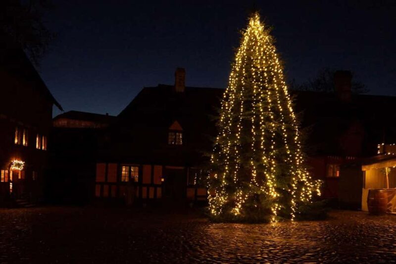 Unique Christmas Market in the Old City in Aarhus - A Deep Dive into the Christmas Delight in Aarhus