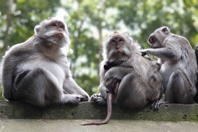 Unique Cleansing Ceremony with Locals - Final Thoughts