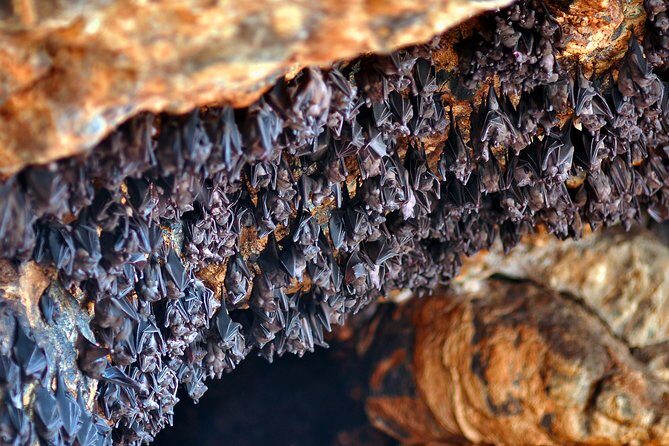 Unique East Bali Full Day Tour - An In-Depth Look at the East Bali Full Day Tour