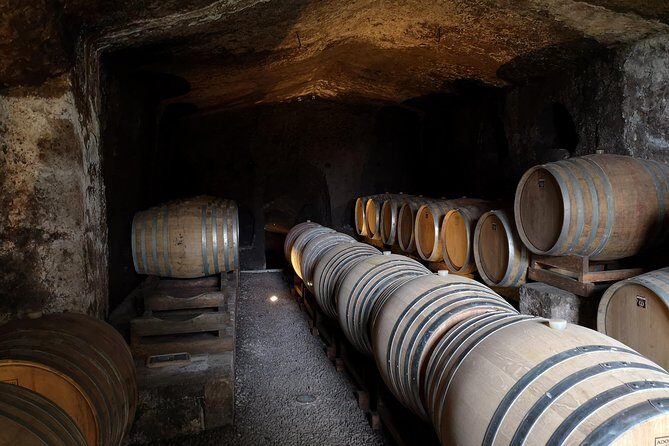 Unique EnoBike experience with tasting in 2 excellent wineries - A Practical Look at the Unique EnoBike Experience in Orvieto
