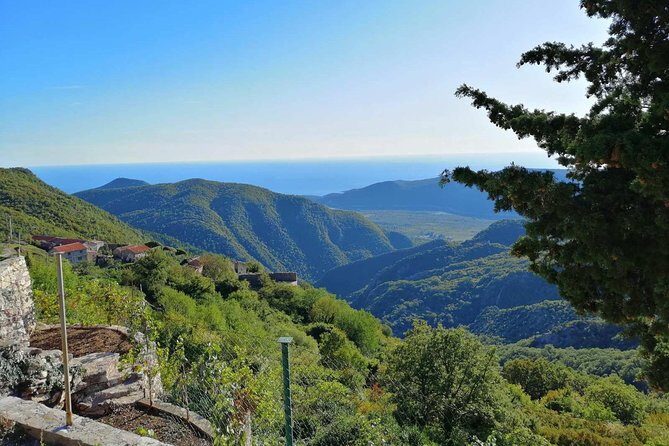 Unique gastro experience with locals in high hills above Budva! - Who Should Consider This Experience?