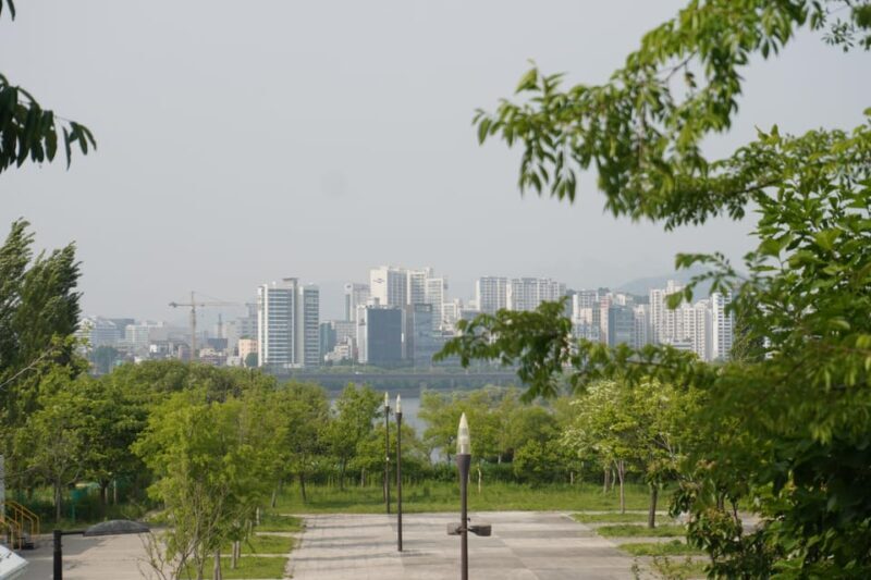 Unique Native Experience : Han River Picnic, Board game, BBQ - Who is This Tour Best For?