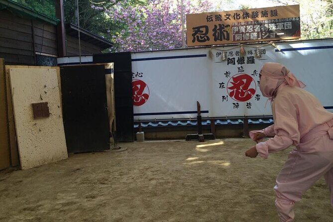 Unique Ninja One Day Experience in Iga - Castle and City Tour: Ninja Attire and Views