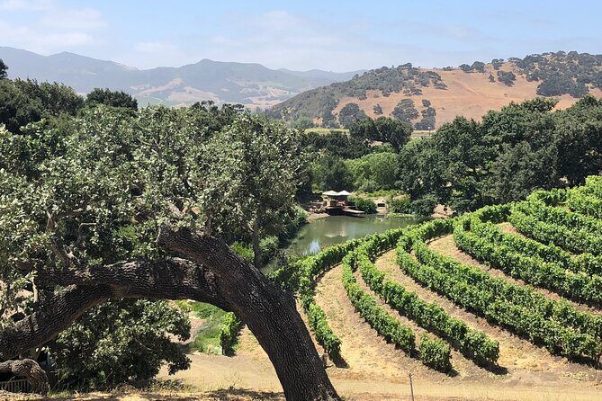 Unique Santa Barbara Wine Country Private Wine Tours and Tastings - Key Points