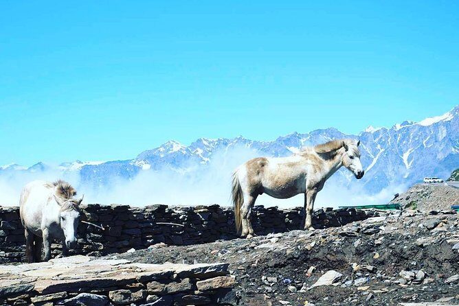 Unique Shimla and Manali tour - Exploring the Itinerary in Depth