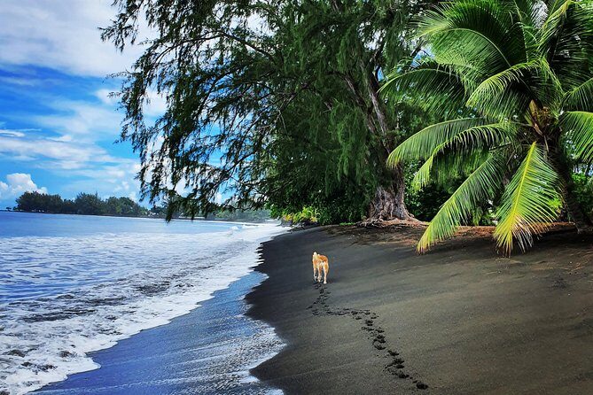 Unique Tahiti Tour - personalised, small group east coast tour - FAQ