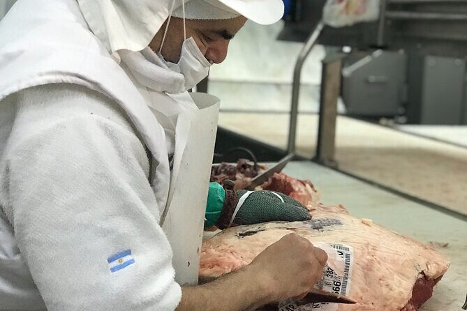 Unique Tailored Tours - The Hummingbird Trip - The Sum Up: Who Will Love This Tour?