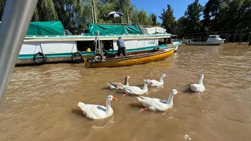 Unique Tigre and Delta Private Day Cruise Navegation - Key Points