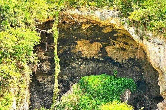 "Unique Tour" Loiza, Cultue, Art & Bomba Dance Class on The Beach - Final Thoughts