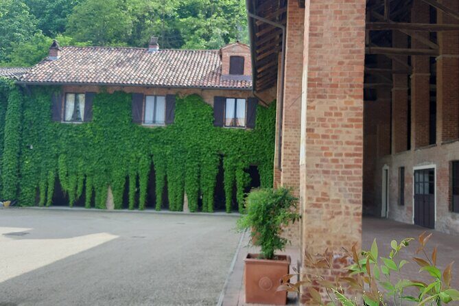 Unique wine tasting at Winery Marchesi Incisa della Rocchetta - Context: Why This Experience Matters for Your Trip
