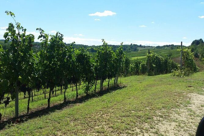 Unique wine tasting at Winery Marchesi Incisa della Rocchetta - FAQ