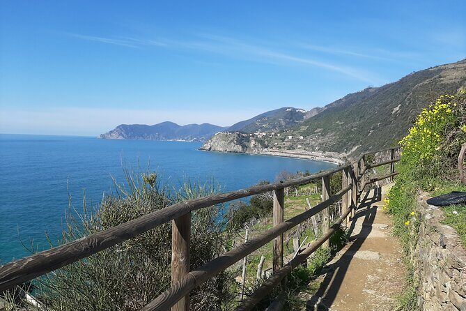 Uniquely classic Cinque Terre - Exploring the Cinque Terre: A Detailed Breakdown