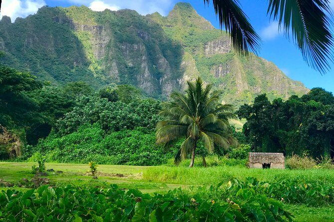 Uniquely Personalized Private Island Tour on Oahu, Hawaii - Key Points