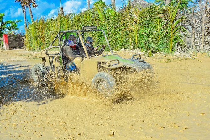 Unlimited Fun in Buggy and ATV and Horses in Punta Cana - Key Points