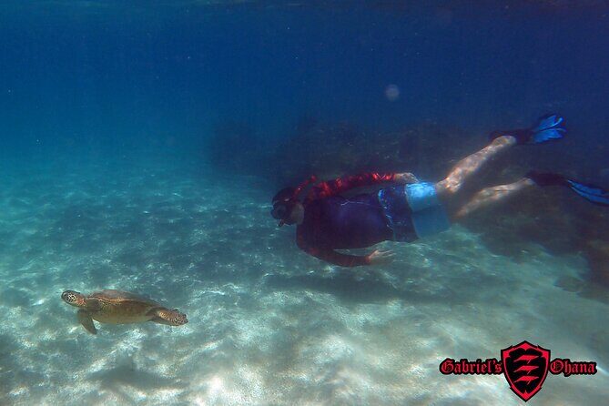 Unlimited Guided Kayaking and Snorkeling Tour-Olowalu - The Experience at a Glance