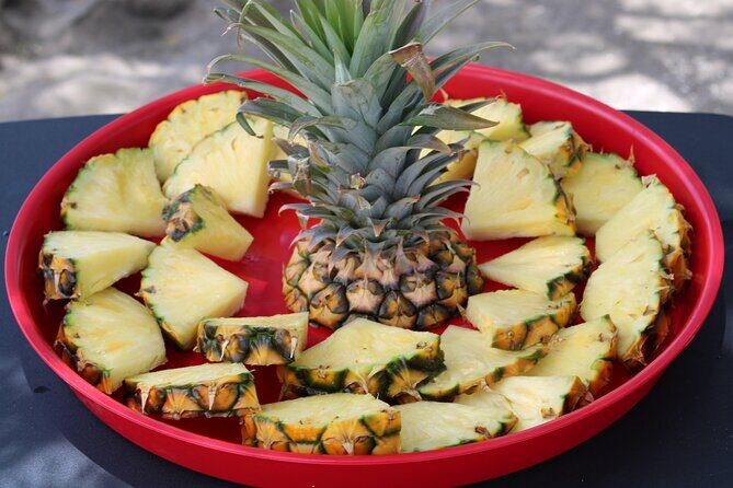 Unlimited Guided Kayaking and Snorkeling Tour-Olowalu - FAQs