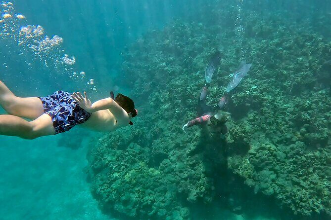 Unlimited Guided Snorkeling Tour for Beginners Plus - Key Points