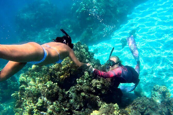 Unlimited Guided Snorkeling Tour for Beginners Plus - Who Is This Tour Best For?