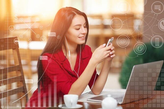 Unlimited WiFi Router - Haneda Airport (Tokyo) Pickup - Who Is This Tour Best For?