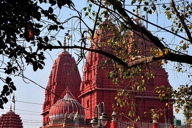 Unlock Delhi's Secrets: Food and Photography Full Day Tour - Why This Tour Works