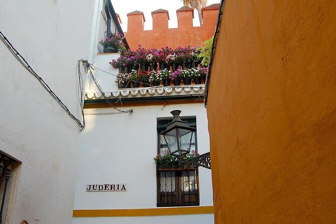 Unmissable Seville private tour - Who Will Enjoy This Tour?