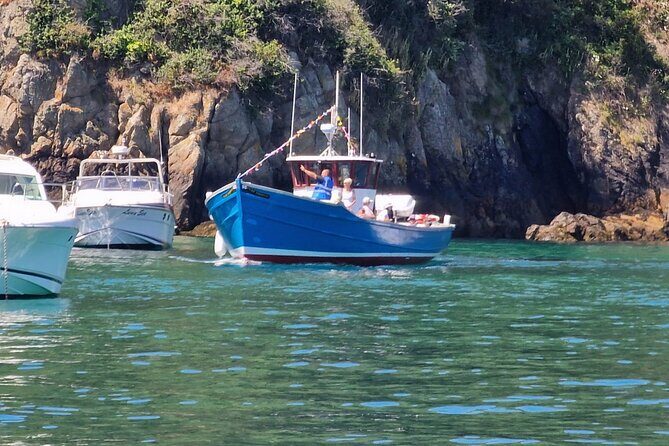 Unrivalled Coastal Tour to Saint's Bay Harbour - In-Depth Look at the Coastal Cruise Experience