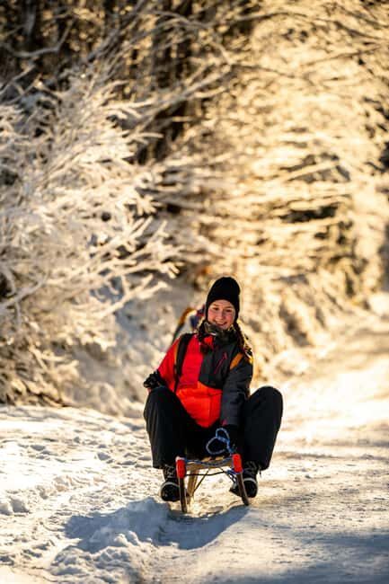 Unterseen: Night Sledding and Fondue Feast Package - A Detailed Look at the Experience