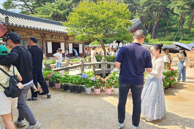 Untold Stories of Koreas Spiritual Jewel at Tongdosa - Who Should Book This Tour?