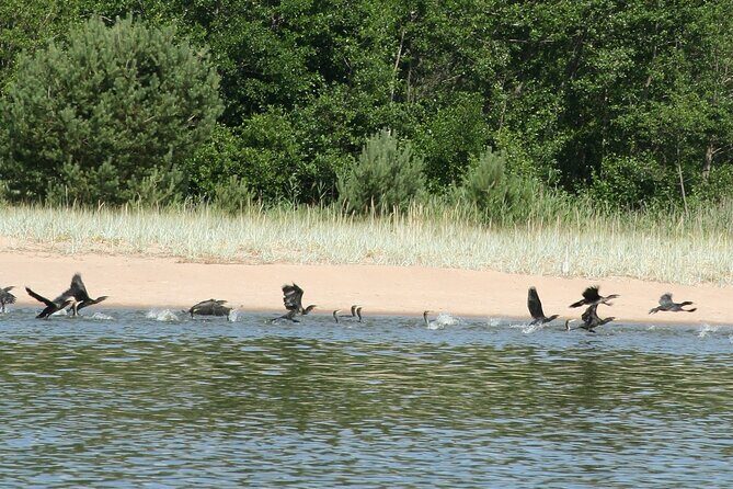 Untouched Sand Dunes - Guided canoe tour on UNESCO site - FAQ