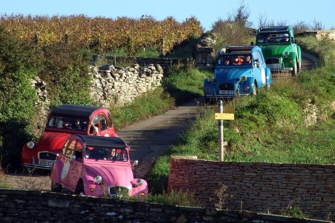 Unusual exploration of the terroirs of Burgundy in 2CV - from 6 people - Exploring Burgundy in a 2CV: An Authentic Journey