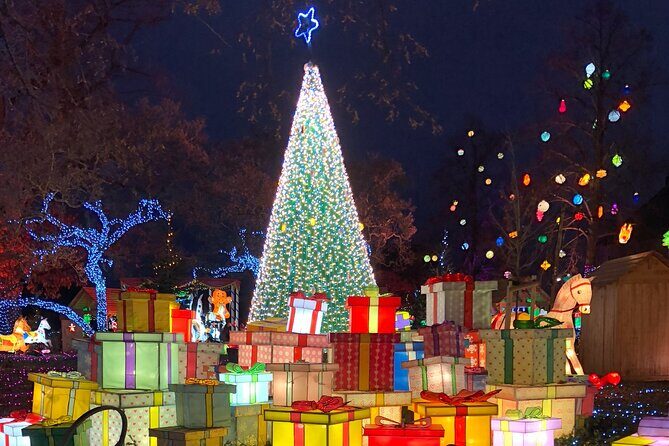 Unusual track game on the Christmas Markets in Metz - The Sum Up