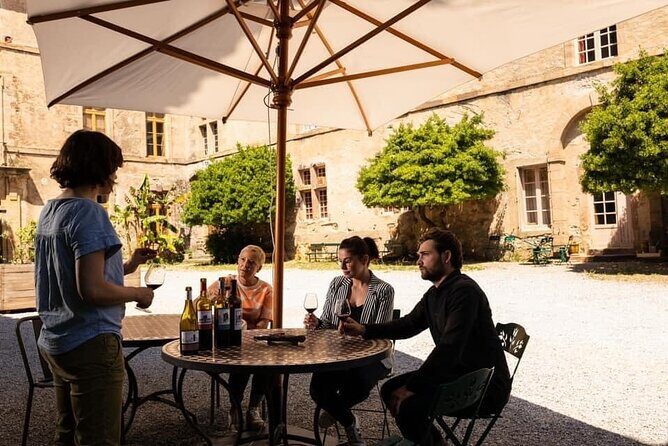 Unusual visit & Tasting of our organic wines - An In-Depth Look at the Château de Luc Tour